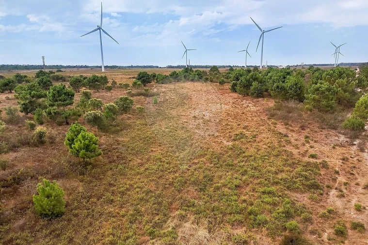 Terreno para Venda em Vila do Bispo e Raposeira Foto 8