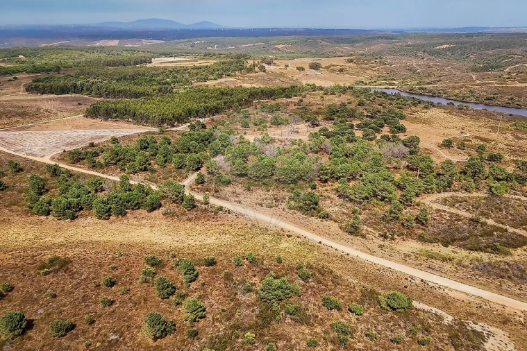 Terreno para Venda em Vila do Bispo e Raposeira Foto 4