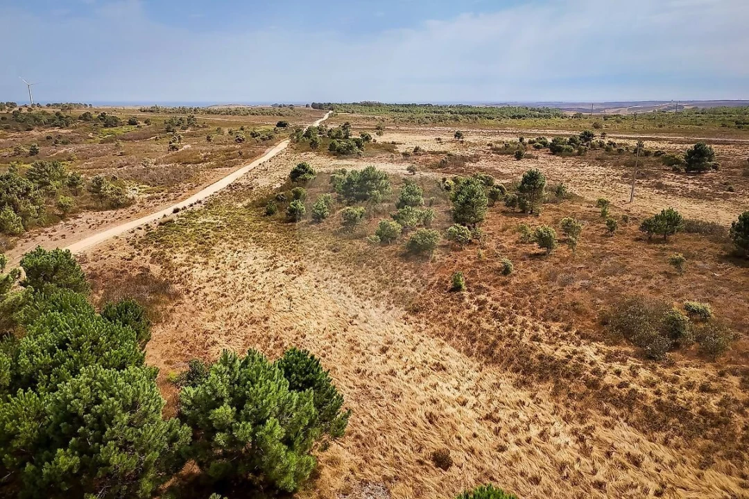 Terreno para Venda em Vila do Bispo e Raposeira Foto 7