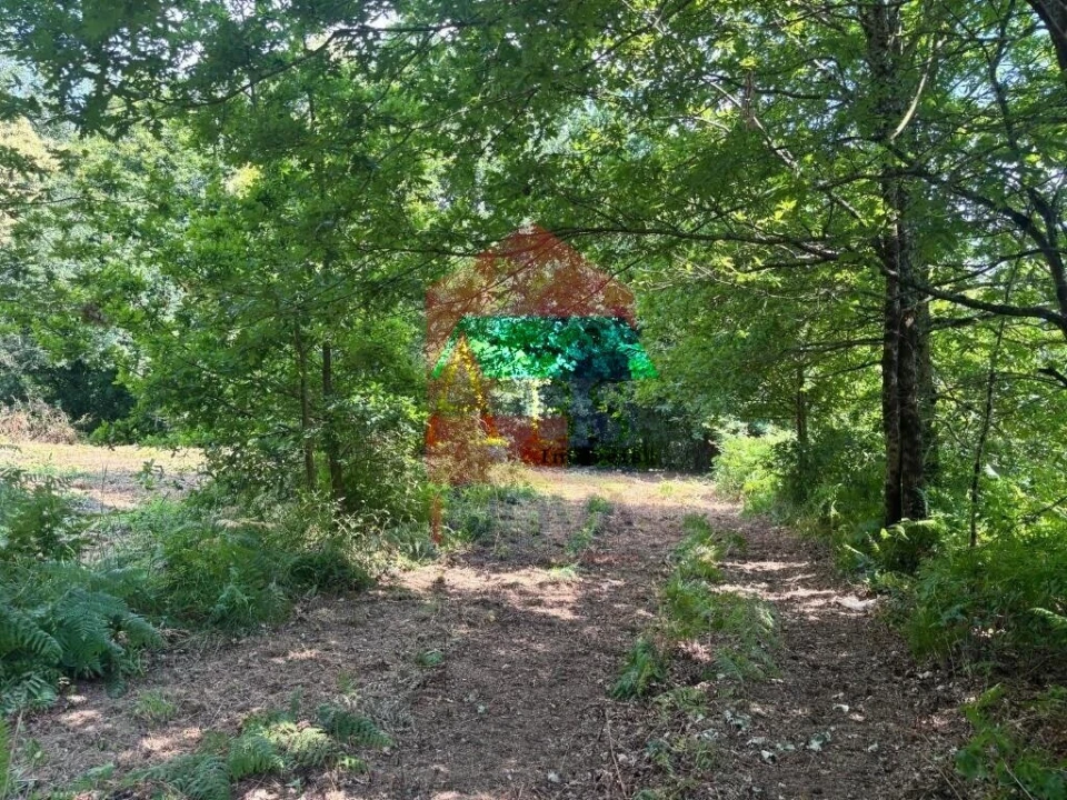 Terreno para Venda em Parada de Gatim Foto 34