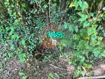Terreno para Venda em Parada de Gatim