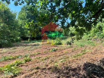 Terreno para Venda em Parada de Gatim