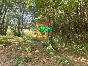 Terreno para Venda em Parada de Gatim