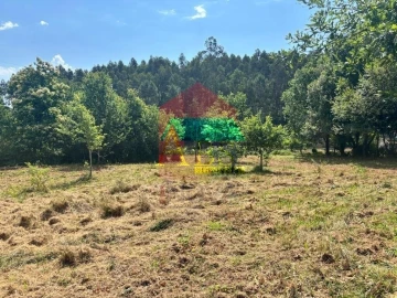 Terreno para Venda em Parada de Gatim