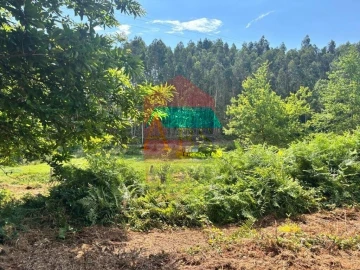 Terreno para Venda em Parada de Gatim
