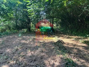 Terreno para Venda em Parada de Gatim