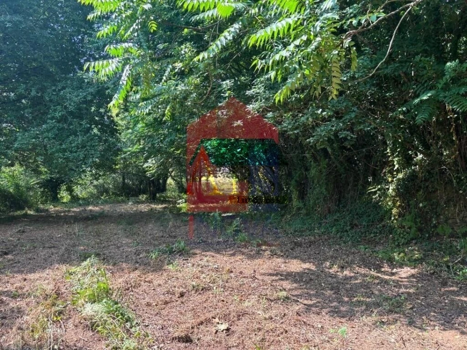Terreno para Venda em Parada de Gatim Foto 3