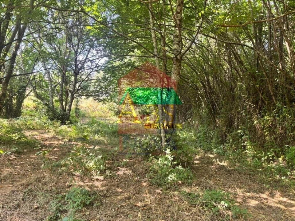 Terreno para Venda em Parada de Gatim Foto 17