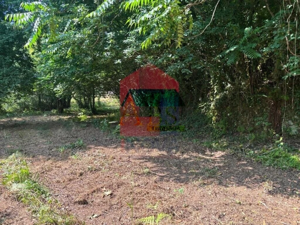 Terreno para Venda em Parada de Gatim Foto 18