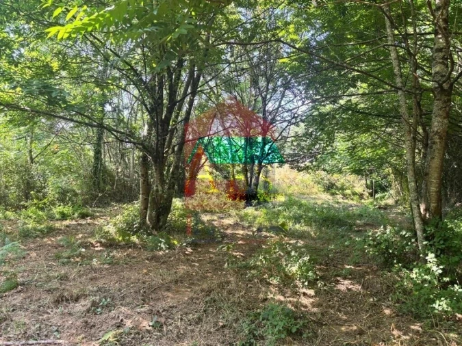 Terreno para Venda em Parada de Gatim Foto 21