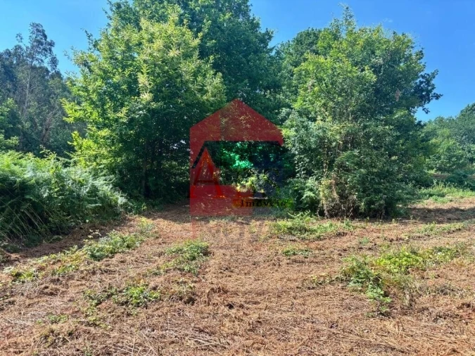 Terreno para Venda em Parada de Gatim Foto 33