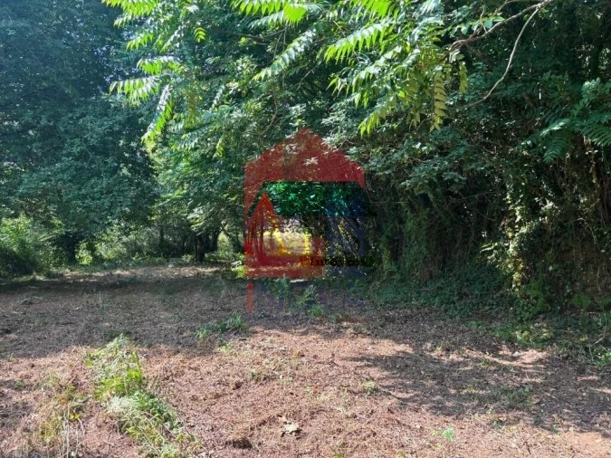 Terreno para Venda em Parada de Gatim Foto 3