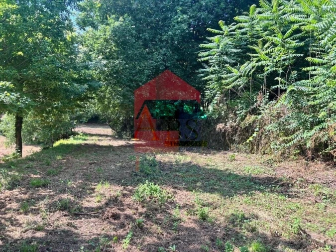 Terreno para Venda em Parada de Gatim Foto 4