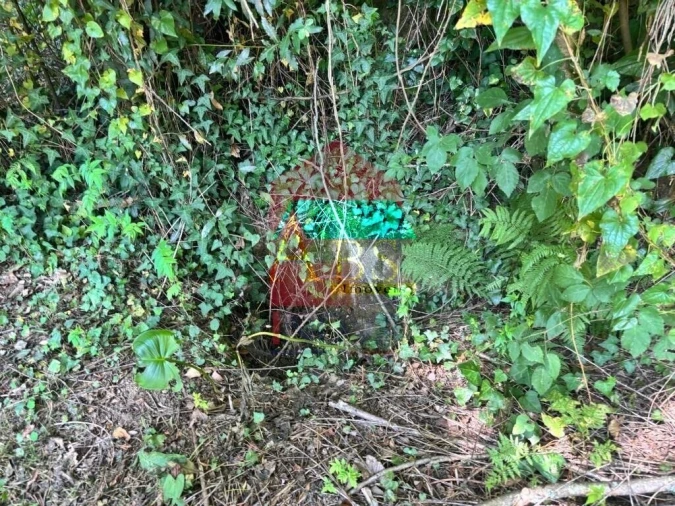Terreno para Venda em Parada de Gatim Foto 9