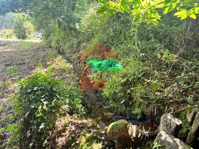 Terreno para Venda em Parada de Gatim Foto 6