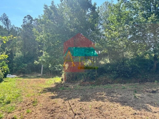 Terreno para Venda em Parada de Gatim Foto 11