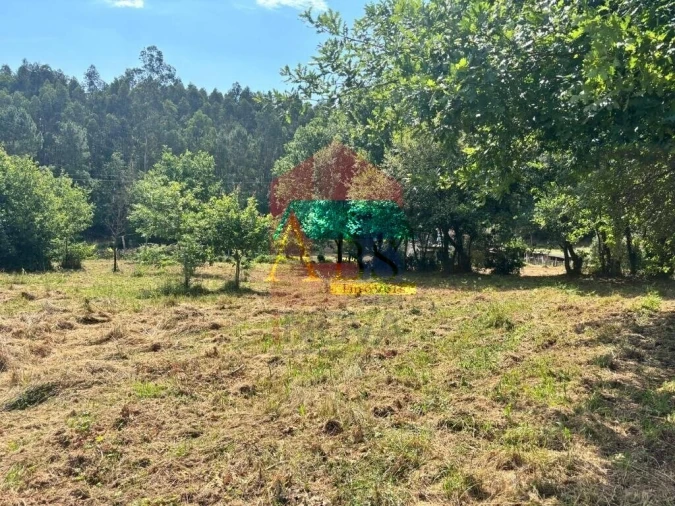 Terreno para Venda em Parada de Gatim Foto 22