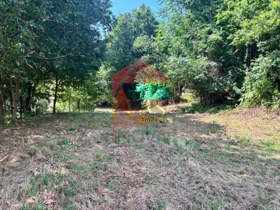 Terreno para Venda em Parada de Gatim Foto 36