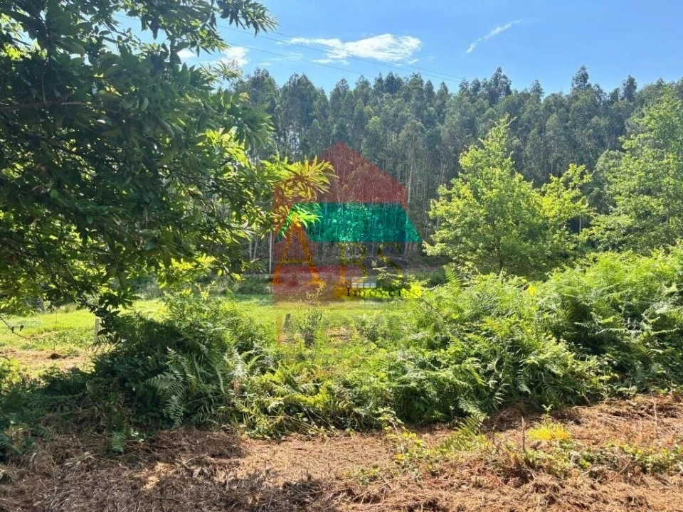Terreno para Venda em Parada de Gatim Foto 27
