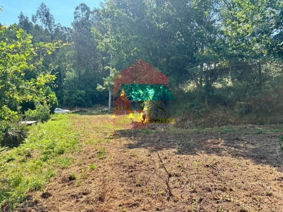 Terreno para Venda em Parada de Gatim Foto 39