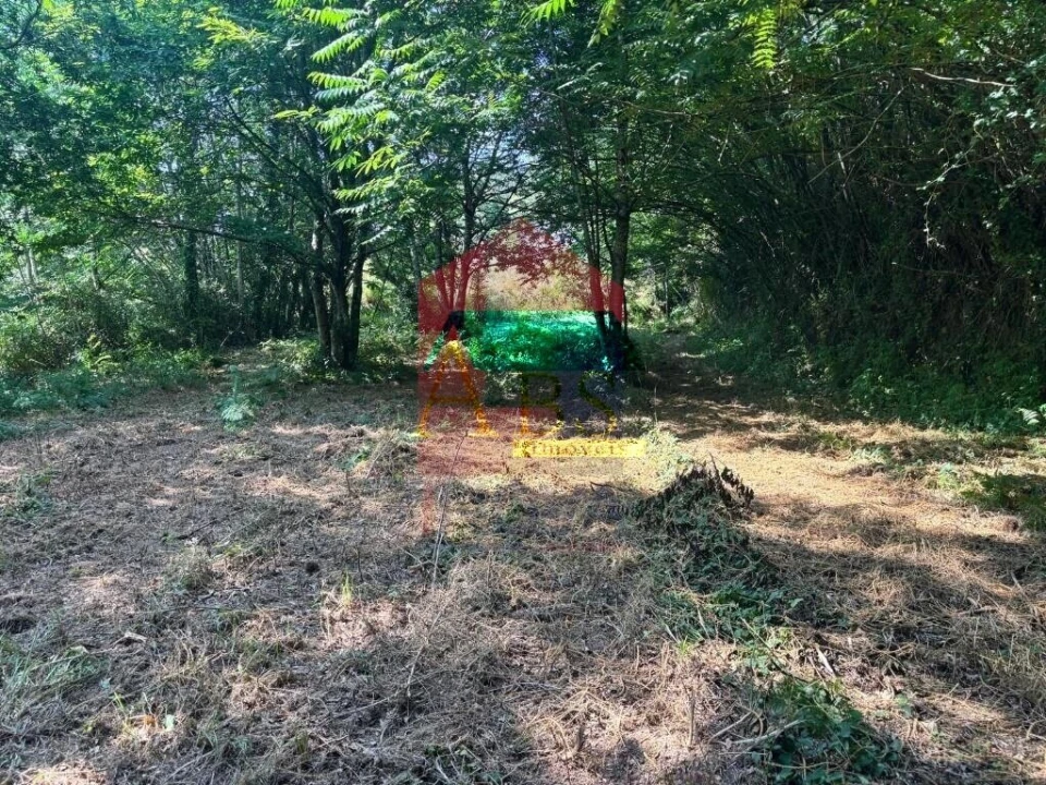 Terreno para Venda em Parada de Gatim Foto 15