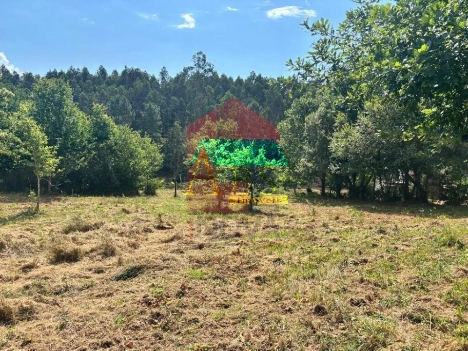 Terreno para Venda em Parada de Gatim Foto 12