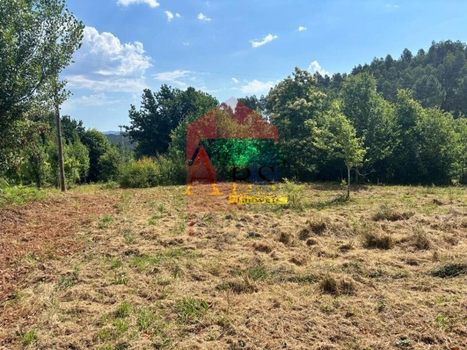 Terreno para Venda em Parada de Gatim Foto 14