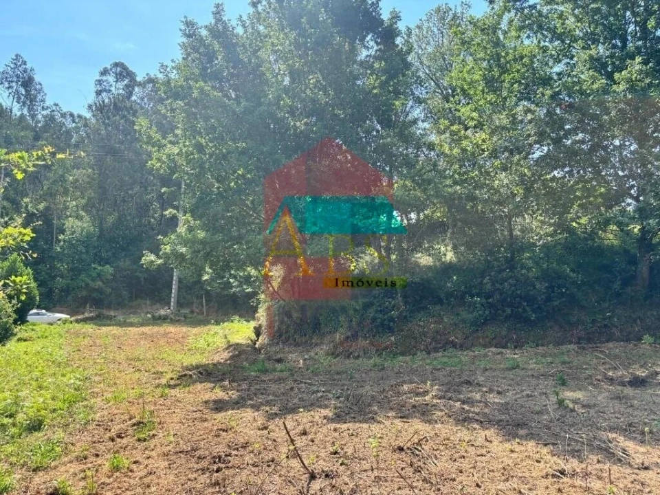 Terreno para Venda em Parada de Gatim Foto 11