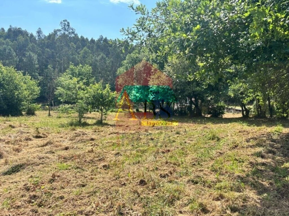 Terreno para Venda em Parada de Gatim Foto 22