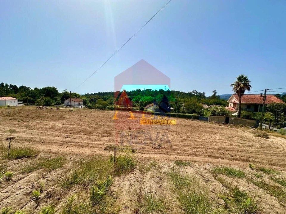 Terreno para Venda em Torre e Portela Foto 4