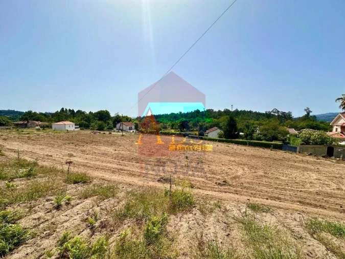 Terreno para Venda em Torre e Portela Foto 6