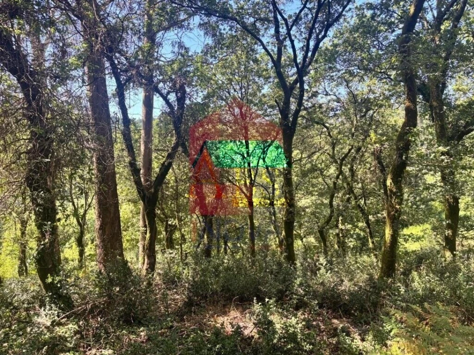 Terreno para Venda em Ribeira do Neiva Foto 15