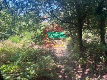 Terreno para Venda em Ribeira do Neiva