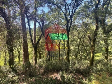 Terreno para Venda em Ribeira do Neiva