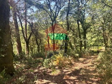 Terreno para Venda em Ribeira do Neiva
