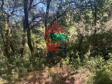 Terreno para Venda em Ribeira do Neiva