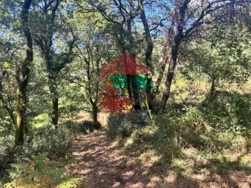 Terreno para Venda em Ribeira do Neiva