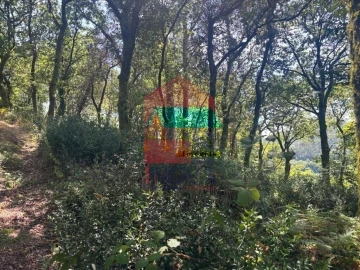Terreno para Venda em Ribeira do Neiva
