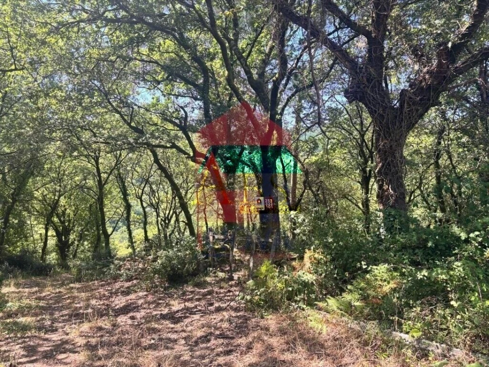 Terreno para Venda em Ribeira do Neiva Foto 1