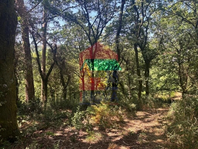 Terreno para Venda em Ribeira do Neiva Foto 10