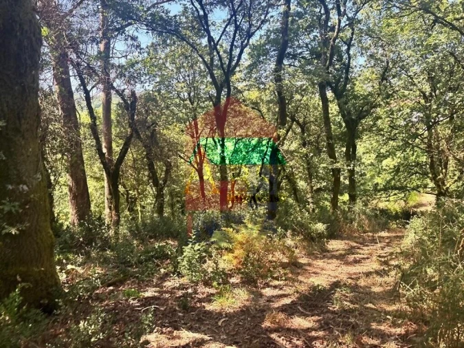 Terreno para Venda em Ribeira do Neiva Foto 11