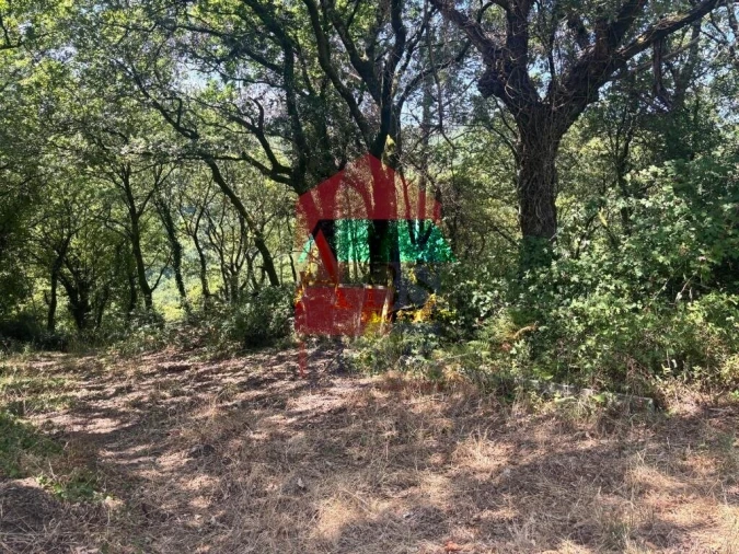 Terreno para Venda em Ribeira do Neiva Foto 13