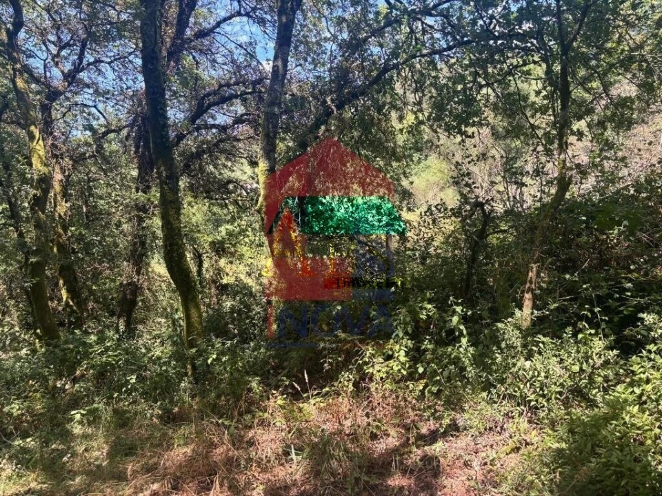 Terreno para Venda em Ribeira do Neiva Foto 14