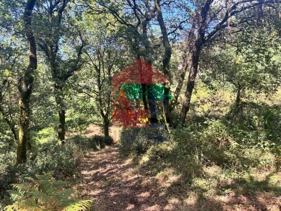 Terreno para Venda em Ribeira do Neiva Foto 17