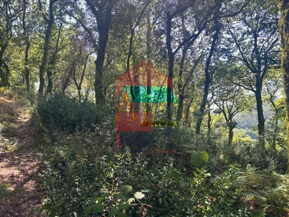 Terreno para Venda em Ribeira do Neiva Foto 4