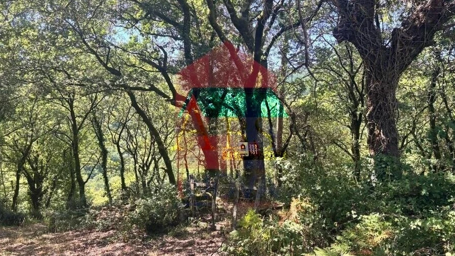 Terreno para Venda em Ribeira do Neiva