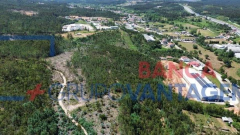 Terreno Agricola ou Rústico para Venda em São Martinho do Bispo e Ribeira de Frades