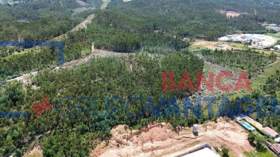 Terreno Agricola ou Rústico para Venda em São Martinho do Bispo e Ribeira de Frades Foto 5