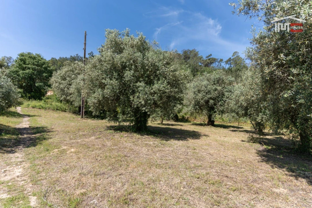 Terreno Agricola ou Rústico para Venda em Caranguejeira Foto 5