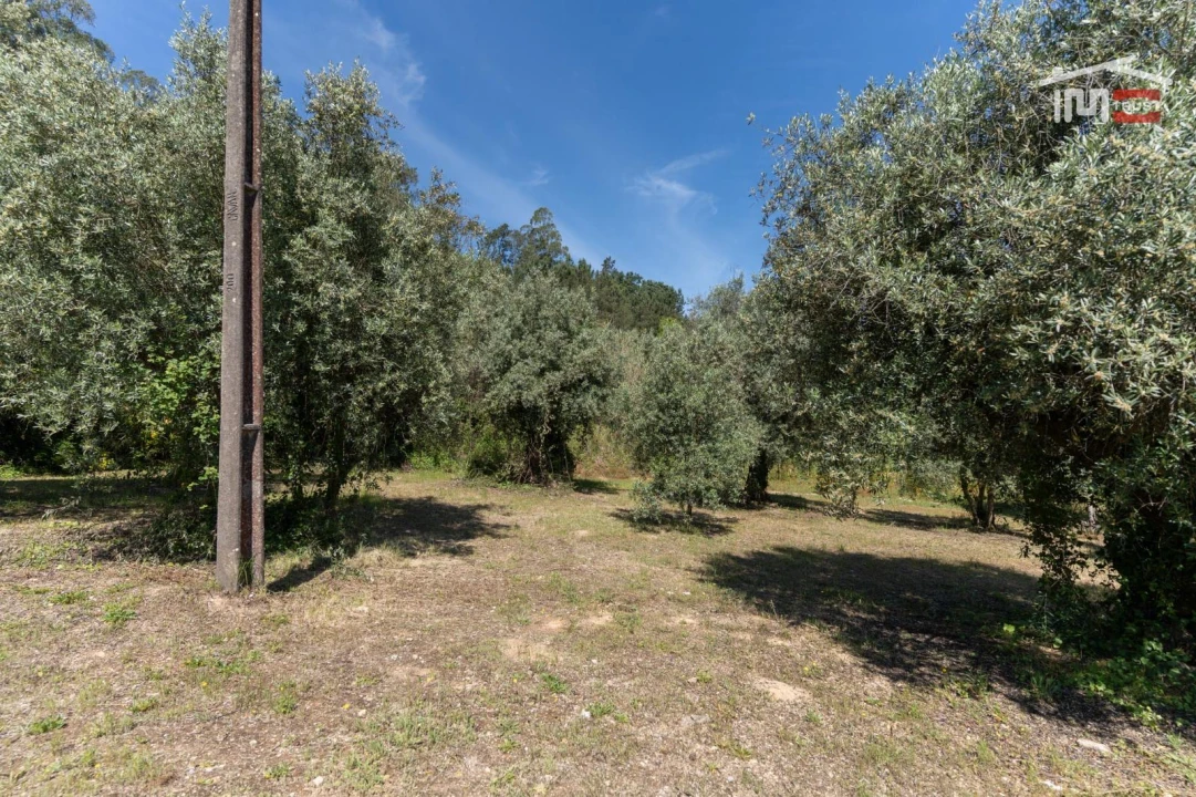 Terreno Agricola ou Rústico para Venda em Caranguejeira Foto 7